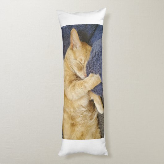 Sleepy Orange Cat Body Pillow Lichaamskussen (Achterkant (Verticaal))