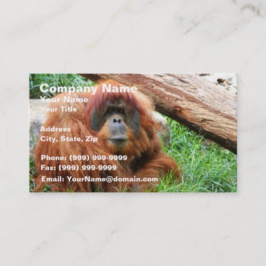Sleepy Orangutan Visitekaartje (Voorkant)