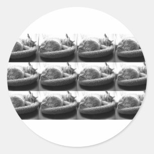 Sleepy Oranje tablet Cat/Black en White Photo Ronde Sticker