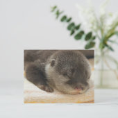Sleepy Otter Briefkaart (Staand voorkant)