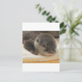 Sleepy Otter Briefkaart (Staand voorkant)