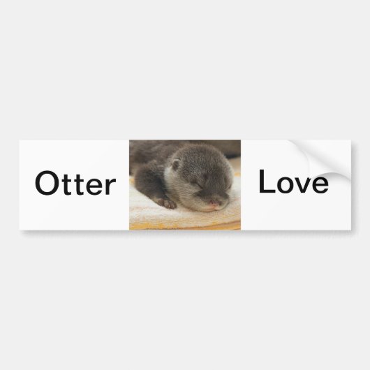 Sleepy Otter Bumpersticker (Voorkant)