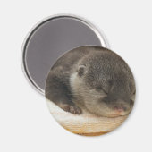 Sleepy Otter Magneet (Voorkant / Achterkant)