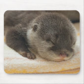 Sleepy Otter Muismat (Voorkant)