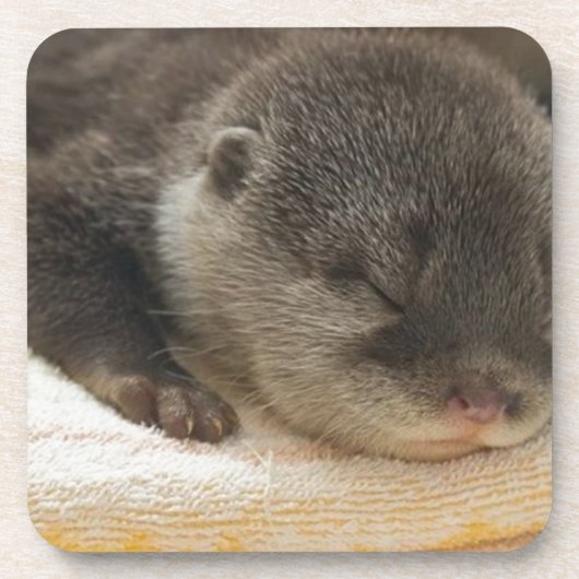 Sleepy Otter Onderzetter (Voorkant)