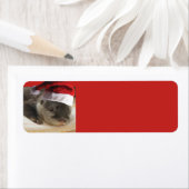 Sleepy Otter Santa Claus Etiket (Insitu)