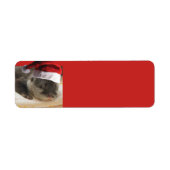 Sleepy Otter Santa Claus Etiket (Voorkant)