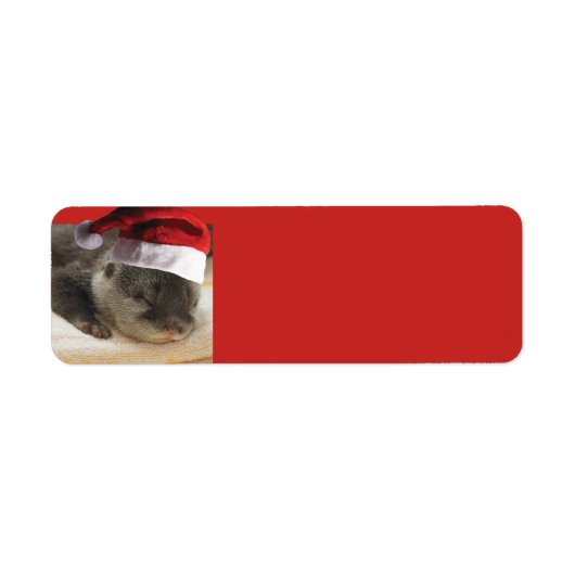 Sleepy Otter Santa Claus Etiket (Voorkant)