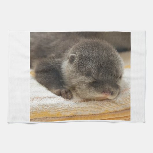 Sleepy Otter Theedoek (Horizontaal)