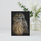 Sleepy Owl Briefkaart (Staand voorkant)