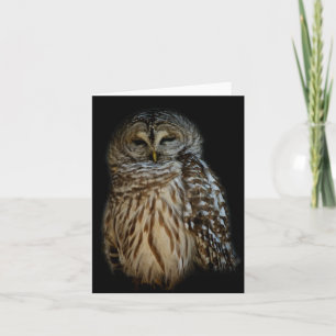 Sleepy Owl-kaart Kaart