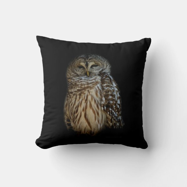 Sleepy Owl Kussen (Voorkant)