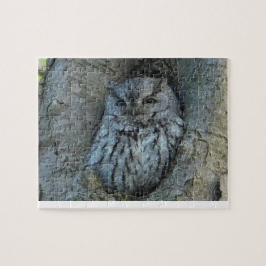Sleepy Owl Legpuzzel (Horizontaal)