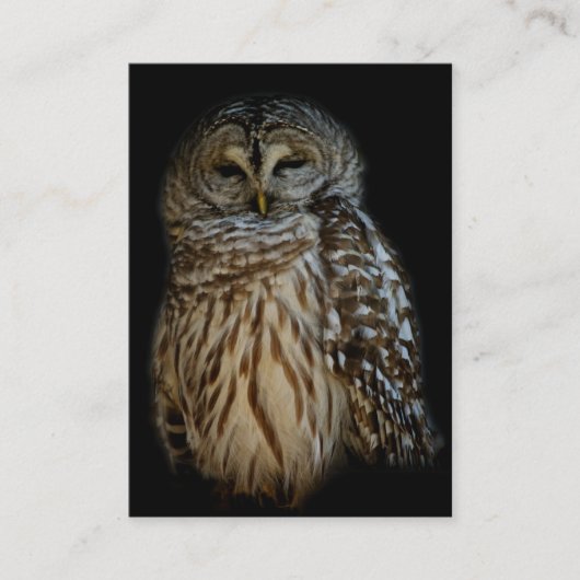 Sleepy Owl Mini Print Visitekaartje (Voorkant)