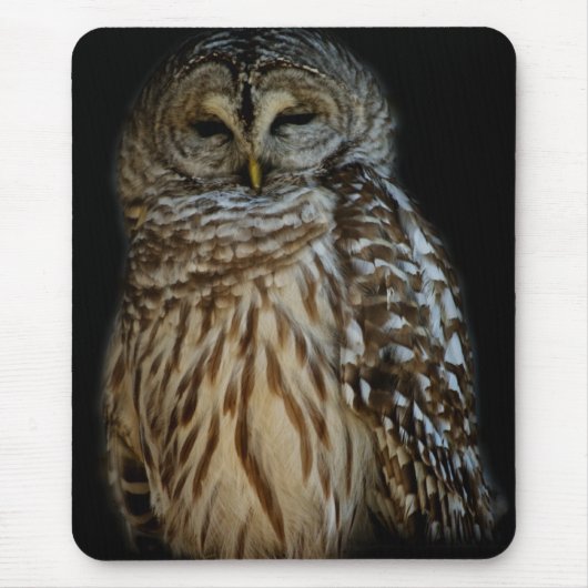 Sleepy Owl Mousepad Muismat (Voorkant)