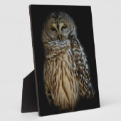 Sleepy Owl Plaque Fotoplaat (Zijkant)