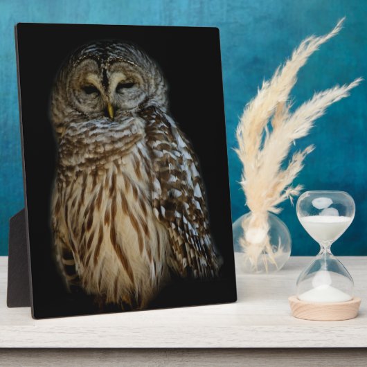 Sleepy Owl Plaque Fotoplaat (Zijkant)