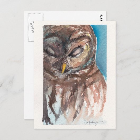 sleepy owl post card briefkaart (Voorkant / Achterkant)