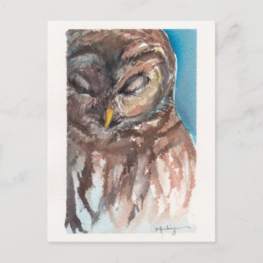 sleepy owl post card briefkaart (Voorkant)