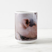 Sleepy Pig Mug Koffiemok (Center)