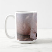 Sleepy Pig Mug Koffiemok (Links)