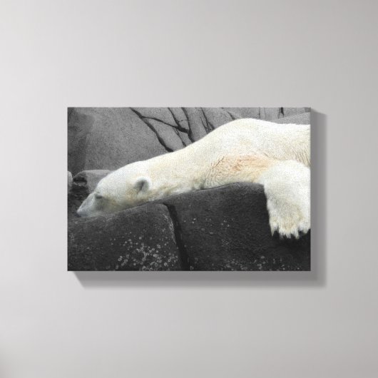 Sleepy Polar-Beer Canvas Afdruk (Voorkant)