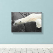 Sleepy Polar-Beer Canvas Afdruk (Insitu (Houten vloer))