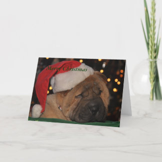 Sleepy Puppy Christmas card Feestdagen Kaart