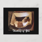 Sleepy Puppy - Denk aan je Briefkaart (Voorkant)