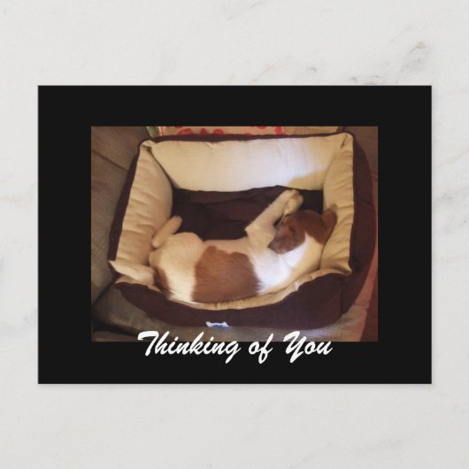 Sleepy Puppy - Denk aan je Briefkaart (Voorkant)