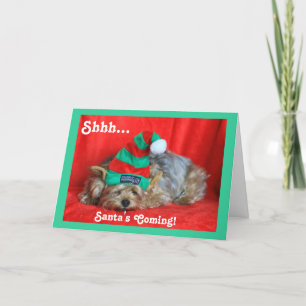 Sleepy Puppy Dragen Elf Pet Feestdagen Kaart
