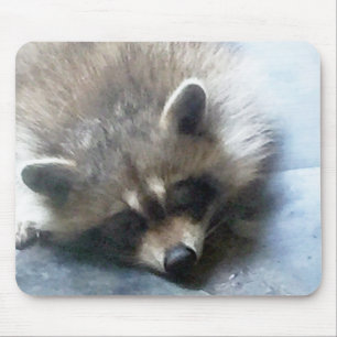 Sleepy Raccoon Cucoon-muisblok Muismat
