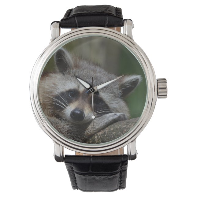 Sleepy Raccoon Horloge (Voorkant)