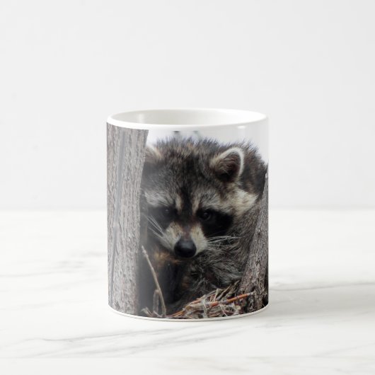 Sleepy Raccoon Koffiemok (Center)