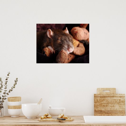 Sleepy Rat Poster (Keuken)