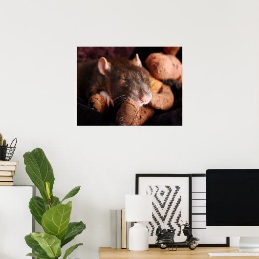 Sleepy Rat Poster (Thuiskantoor)