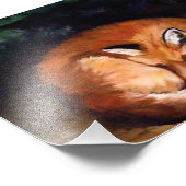 Sleepy Red Fox Afdrukken Foto Afdruk (Hoek)