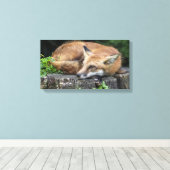Sleepy Red Fox Canvas Afdruk (Insitu (Houten vloer))