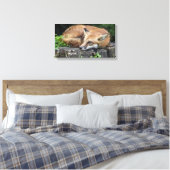 Sleepy Red Fox Canvas Afdruk (Insitu (Slaapkamer))