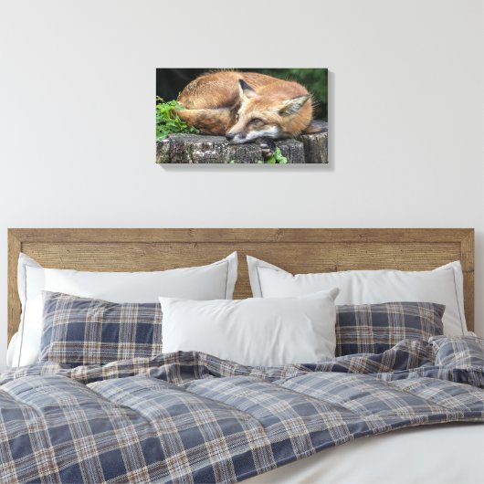 Sleepy Red Fox Canvas Afdruk (Insitu (Slaapkamer))