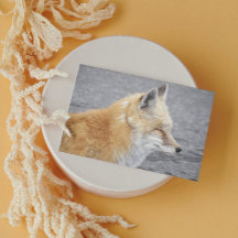 Sleepy Red Fox Grappige Wildlife Verjaardag