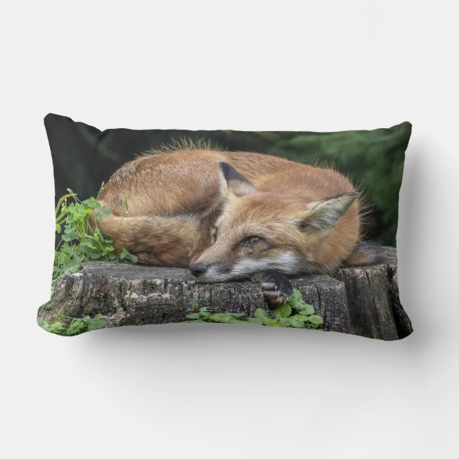 Sleepy Red Fox Kussen (Voorkant)