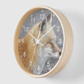 Sleepy Red Fox Natuur Foto (Hoek)