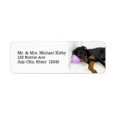 Sleepy Rottweiler Return Address Labels (Voorkant)