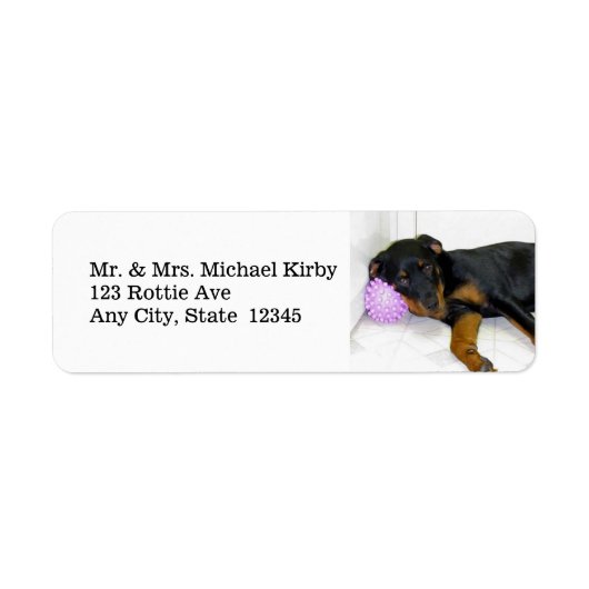 Sleepy Rottweiler Return Address Labels (Voorkant)