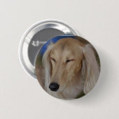 Sleepy Saluki Dog Ronde Button 5,7 Cm (Voorkant /achterkant)