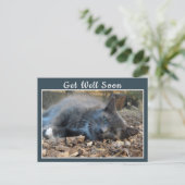 Sleepy Shady Cat krijgt snel Briefkaart (Staand voorkant)