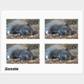 Sleepy Shady Cat-Stickers Rechthoekige Sticker (Vel)