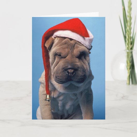 Sleepy Shar Pei x mas Kersthond Feestdagen Kaart (Voorkant)