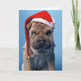 Sleepy Shar Pei x mas Kersthond Feestdagen Kaart